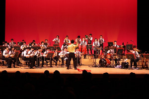 mandolin2017_s6.jpg