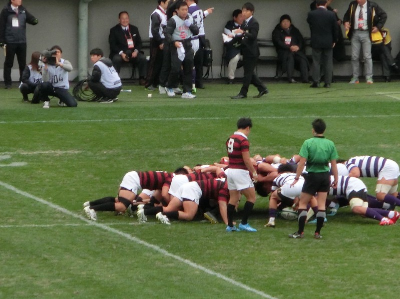 img13.jpg