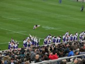 img15.jpg
